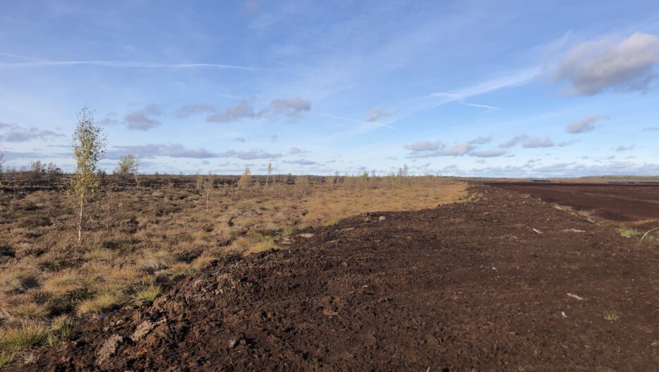 neova-restorates-1-000-hectares-of-old-peat-production-areas-in-estonia