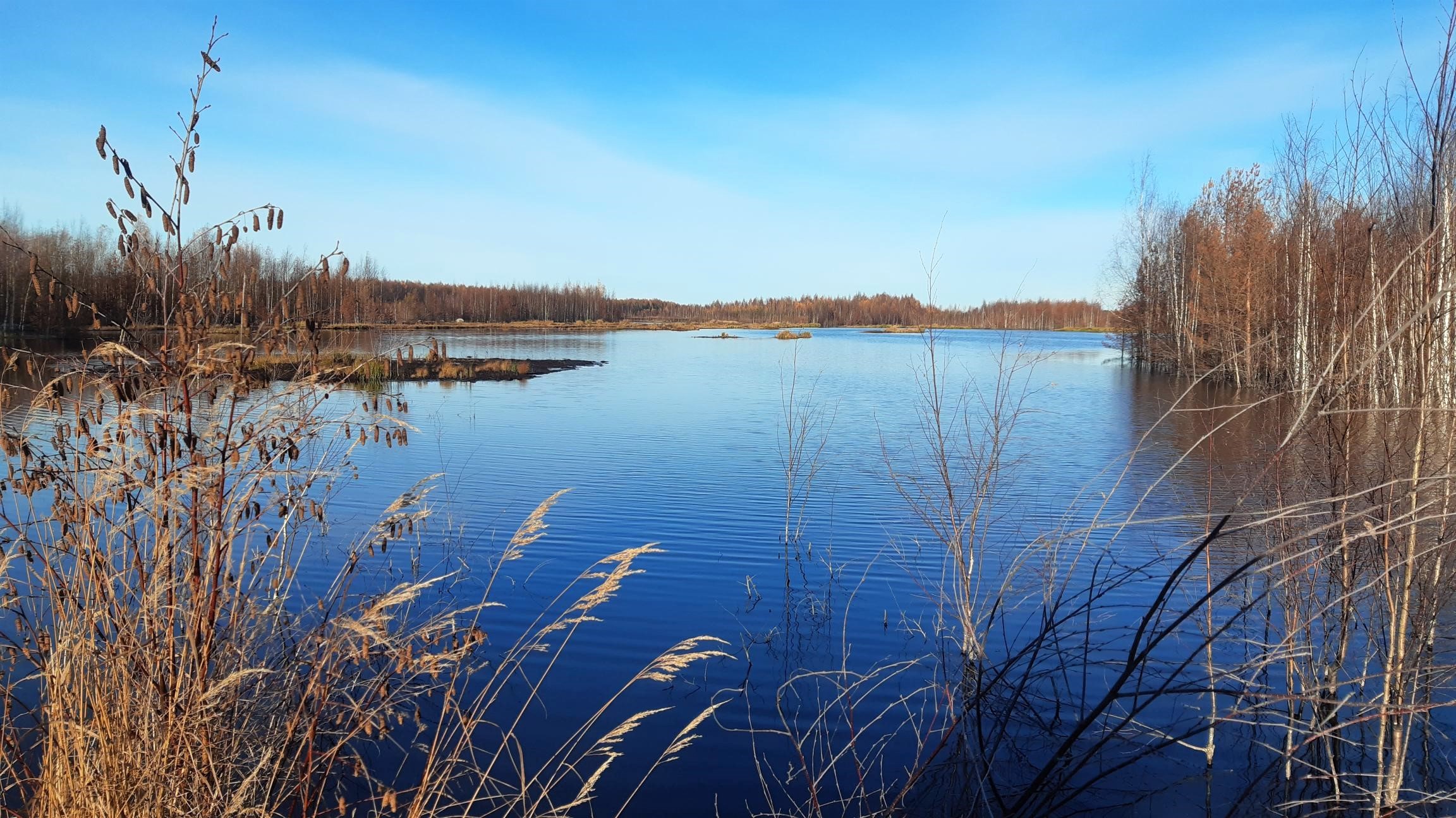 Three times as many wetlands as the new peat production area in Finland ...